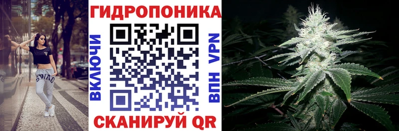 цены   Зуевка  Канабис White Widow 